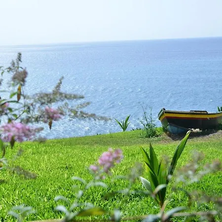 Quinta Golfinho - Rosa *