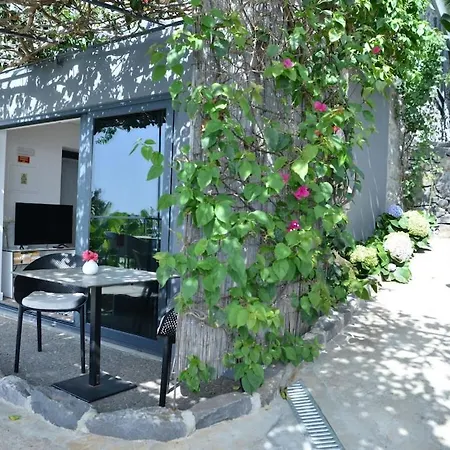 Quinta Golfinho - Rosa * Arco da Calheta
